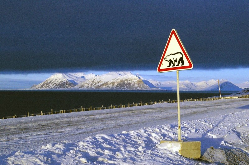 https://www.russiadiscovery.ru/storage/orig/review_images/7579/Svalbard (5)_1562414072.jpg